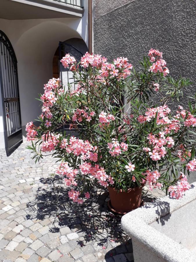 Bed and Breakfast Aux Trois Soleils Chexbres Esterno foto